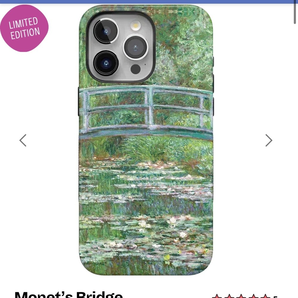 iPhone 15 plus casely monets bridge bold flex + MagSafe
